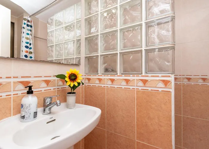 Studio Apartment Los Cristianos Apartment *